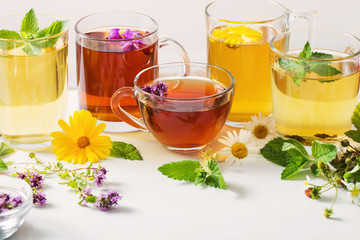 herbal tea in cups on a white background