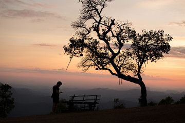 silhouette man standing  under the tree in sunset time.