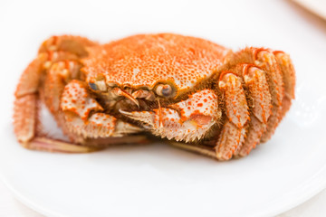 Cooked hairy crab (kegani in Japanese) or horsehair crab served whole on a white plate at a Japanese restaurant