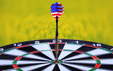 darts,  darts hit the center