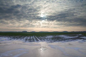 Little snow on agricultural field in early winter.