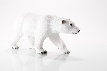 polar bear isolated