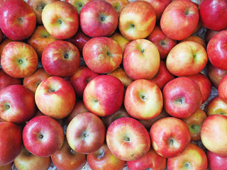 Pile of apples for sale at market