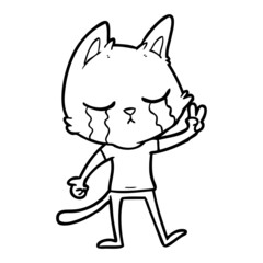 crying cartoon cat