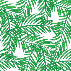 Seamless pattern with palm tree green leaves on white background.