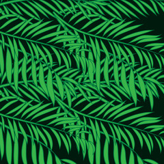 Naklejka premium Balck silouhette of palm tree leaves isolated on white background.