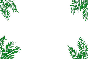 Obraz na płótnie Canvas Green palm tree leaves isolated on white background with space for text.