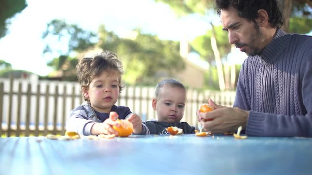 A father with two little sons peeling and eating tangerines in the garden