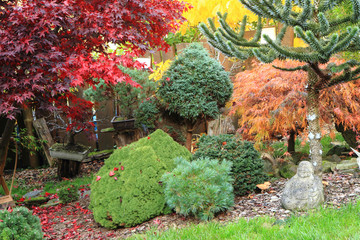 autumn color garden