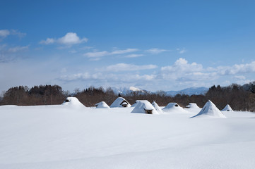 雪に覆われる厳寒期の三内丸山遺跡竪穴住居・掘立柱建物復元