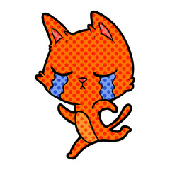 crying cartoon cat