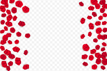 Flying random, chaotic red petals on transparent background.