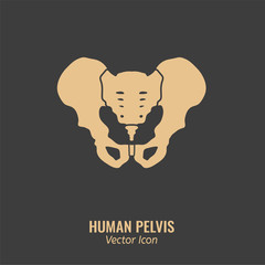Human Pelvis Icon
