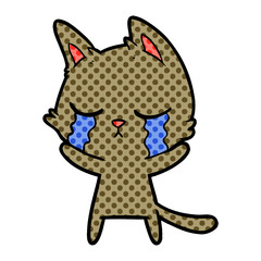 crying cartoon cat