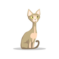 Cartoon hairless cat with yellow eyes, thin tail and big ears. Sphynx breed. Domestic animal. Flat vector design for postcard, pet store or veterinary clinic