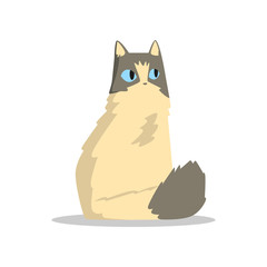 Funny beige puffy cat with gray markings on head and tail. Domestic animal with big blue eyes. Cartoon pet character. Flat vector design for sticker or greeting card