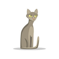 Russian blue cat with short hair and big yellow eyes. Cartoon domestic animal character with cute muzzle. Flat vector design for veterinary service or pet shop