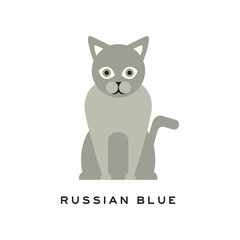 Russian blue cat. Adorable short-haired feline with gray coat, intelligent muzzle and big green eyes. Purebred domestic animal. Flat vector for zoo store logo