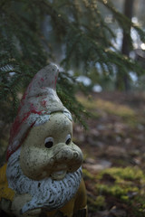 Garden gnome hiding under a tree