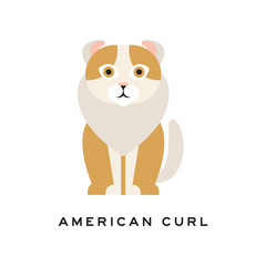 American curl cat. Purebred pet with curled ears, brown fur and white ruff around neck. Cartoon domestic animal. Flat vector design for vet clinic or zoo shop logo