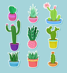 Cactus home plants in pots with flowers set, variety of decorative cacti stickers vector Illustrations
