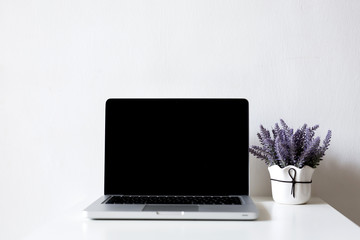 Laptop with blank screen isolated on white background - mockup template, all laptop in focus
