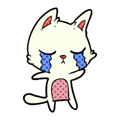 crying cartoon cat