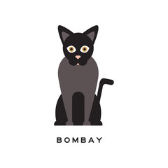 Elegant bombay cat. Type of short-haired feline with black coat, pink nose and brown eyes. Cartoon character of purebred domestic animal. Flat vector design