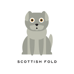 Adorable scottish fold cat. Lop-eared kitten with gray short fur and big brown eyes. Cartoon purebred domestic animal. Human s little friend. Flat vector design