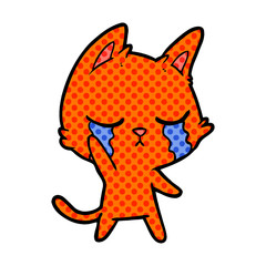 crying cartoon cat