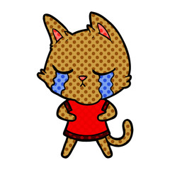 crying cartoon cat