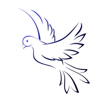 Image of a dove, vector. Flying bird, lines