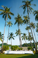 Fototapeta na wymiar festive dinner table by the sea and a tropical beach among the palms.