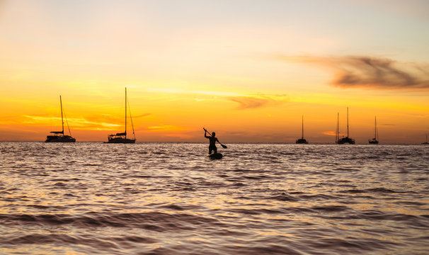 Silhouette of a man with an oar on a swimming board against the background of a sunset and an ocean with yachts.