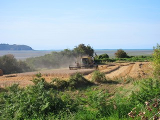 HILLION, FRANCE-AUGUST 13, 2017 straw and combine harvester in
