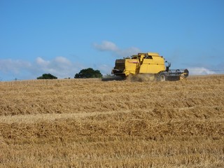 Obraz premium HILLION, FRANCE-AUGUST 13, 2017 straw and combine harvester in