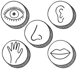Five senses icons