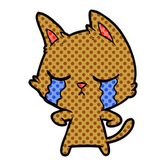 crying cartoon cat