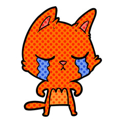Obraz premium crying cartoon cat