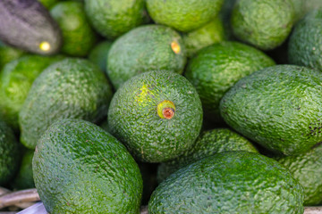 Fresh ripe green organic avocados new harvest