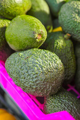 Fresh ripe green organic avocados new harvest
