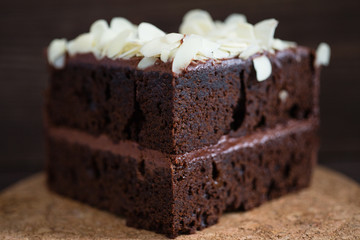 a piece of brownie | macro