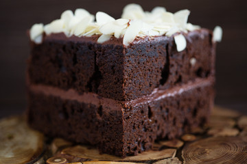 a piece of brownie | macro