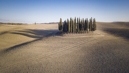 Obraz premium Cyprese in Tuscany field