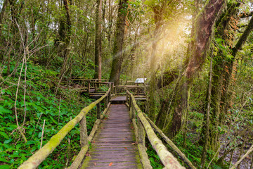 Ang Ka Luang Nature Trail
