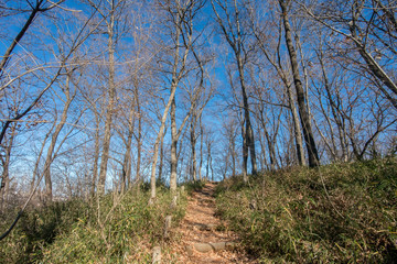 浅間山公園と浅間神社