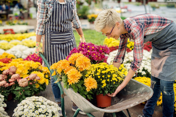 Two professional happy beautiful florist women sorting flowers and pots from a cart outside of the market.