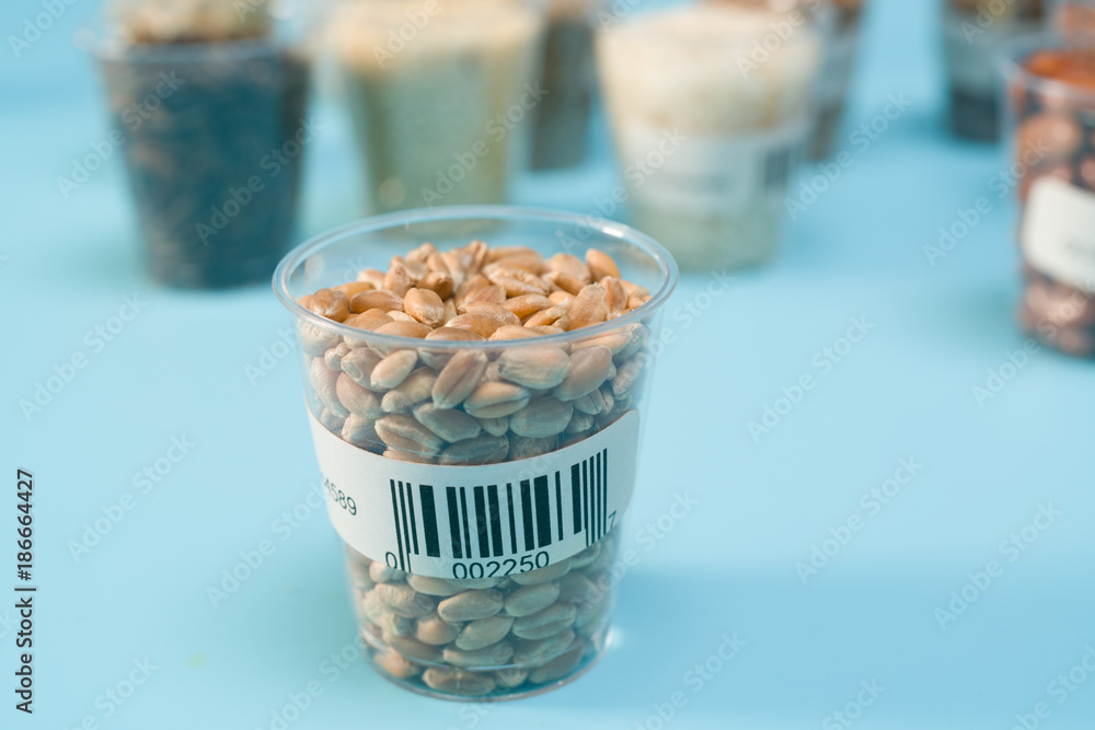 Sticker seeds of agricultural plants in test tube with barcodes in the laboratory