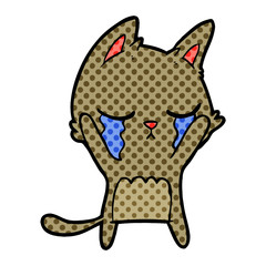 crying cartoon cat