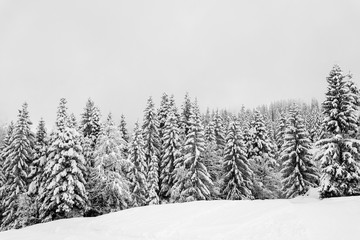 paysage en hiver